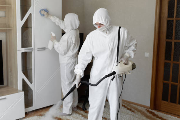Best Crawl Space Mold Removal  in Bowman, ND
